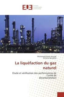 La liquefaction du gaz naturel : Etude et verification des performances de l'unite de decarbonatation