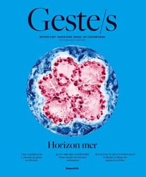 Geste/s Tome 14 : Horizon mer