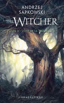The Witcher (le sorceleur) Tome 2 : l'épée de la providence