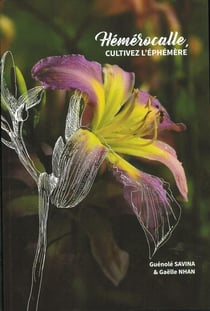 Hémérocalle, cultivez l'éphémère