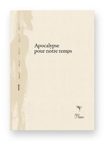 Apocalypse pour notre temps : Petite éthique pour l'ère du vide