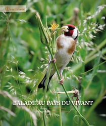 Balade au pays du vivant
