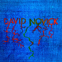 David Novick