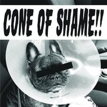 Cone of shame