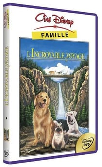 L'Incroyable voyage