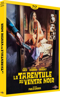 La Tarentule au ventre noir