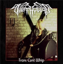 Trans cunt whip