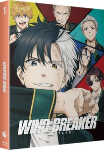 Wind Breaker - Saison 1