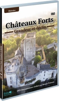 Châteaux-forts : Grandeur et déclin