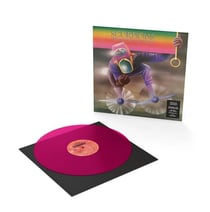 Fly To The Rainbow