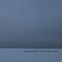 Coyote Butterfly