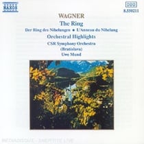 The Ring (orchestral Highlights)