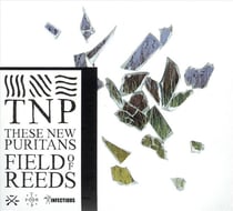 Field of reeds