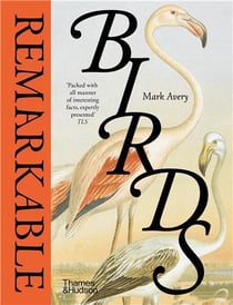 Remarkable birds
