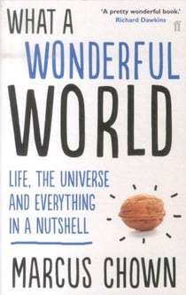 WHAT A WONDERFUL WORLD - ONE MAN'S ATTEMPT TO EXPLAIN THE BIG STUFF