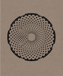 Collected works Tome 2 20002012 Caruso St John