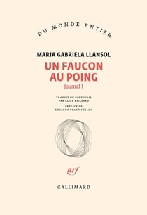 Un faucon au poing : Journal 1