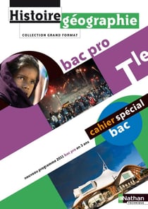 Histoire-géographie - terminale professionnel - livre de l'élève (édition 2011)