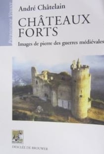Châteaux forts - images de pierre des guerres médiévales
