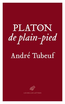 Platon de plain-pied