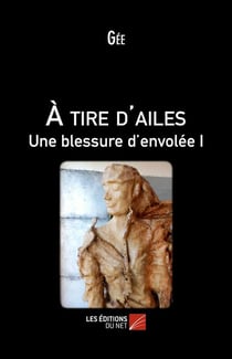 À tire d'ailes, une blessure d'envolée t.1