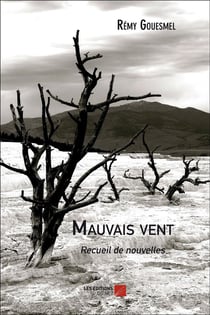 Mauvais vent