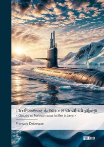 L'arraisonnement du SNLE « Le Narval » à Jakarta