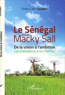 Le Sénégal sous Macky Sall - de la division à l'ambition, les réalisations à mi-mandat