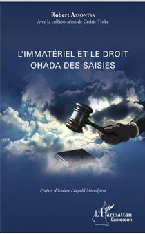 L'immatériel et le droit Ohada des saisies
