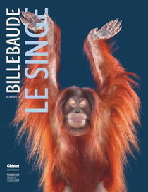 Billebaude n.23 : Le singe