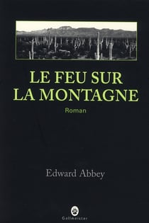 Le feu sur la montagne