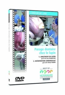 Dvd -parage dentaire chez le lapin