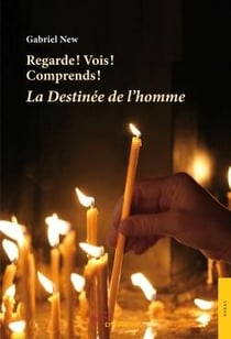 Regarde ! vois ! comprends ! la destinee de l'ho