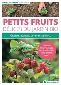 Petits fruits - délices du jardin bio - choisir, planter, soigner, tailler...