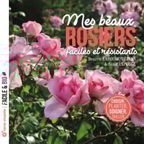 Mes beaux rosiers, faciles et résistants : Choisir, planter, soigner, tailler