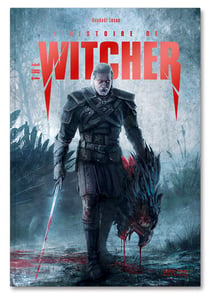 L'histoire de the Witcher