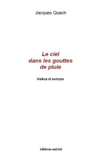 Le ciel dans les gouttes de pluie