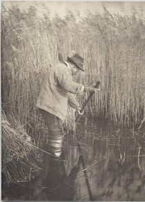 Carnet de notes et lectures, Norfolk broads