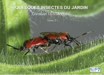 Quelques insectes du jardin t.2