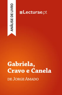 Gabriela, Cravo e Canela - Jorge Amado (analise de livro)