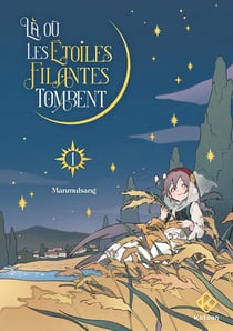 Là où les étoiles filantes tombent Tome 1