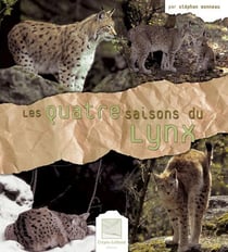 Les 4 saisons du lynx