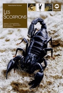 Les scorpions - espèces, comportement, reproduction, alimentation, soins quotidiens...