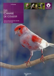 Les canaris de couleurs