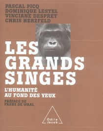 Les grands singes - l'humanité au fond des yeux