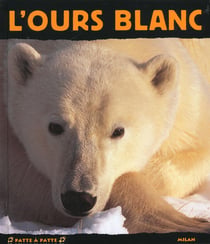 L'ours blanc