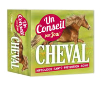 Un conseil cheval par jour 2019 (édition 2019)