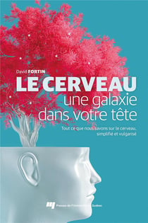 Le cerveau, une galaxie dans votre tête : tout ce que nous savons sur le cerveau simplifié et vulgarisé