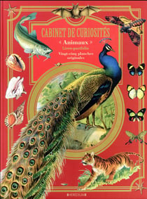 Cabinet de curiosités - les animaux