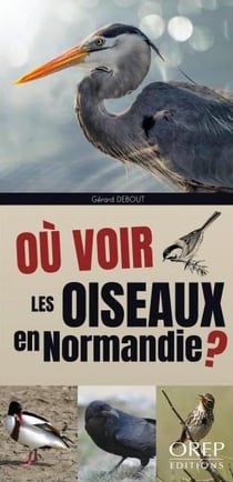 Où voir les oiseaux en normandie ?